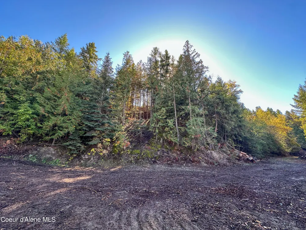 NNA Turner Hill Rd Lot 1 (3900A) Bonners Ferry, ID 83805