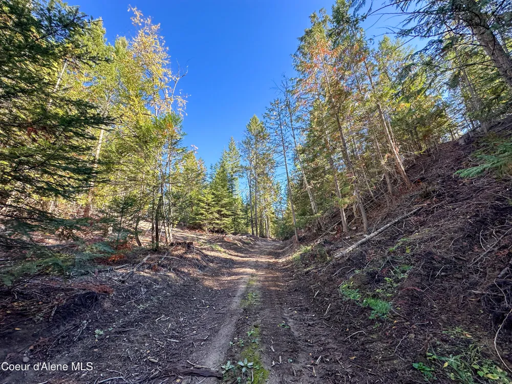 NNA Turner Hill Rd Lot 1 (3900A) Bonners Ferry, ID 83805