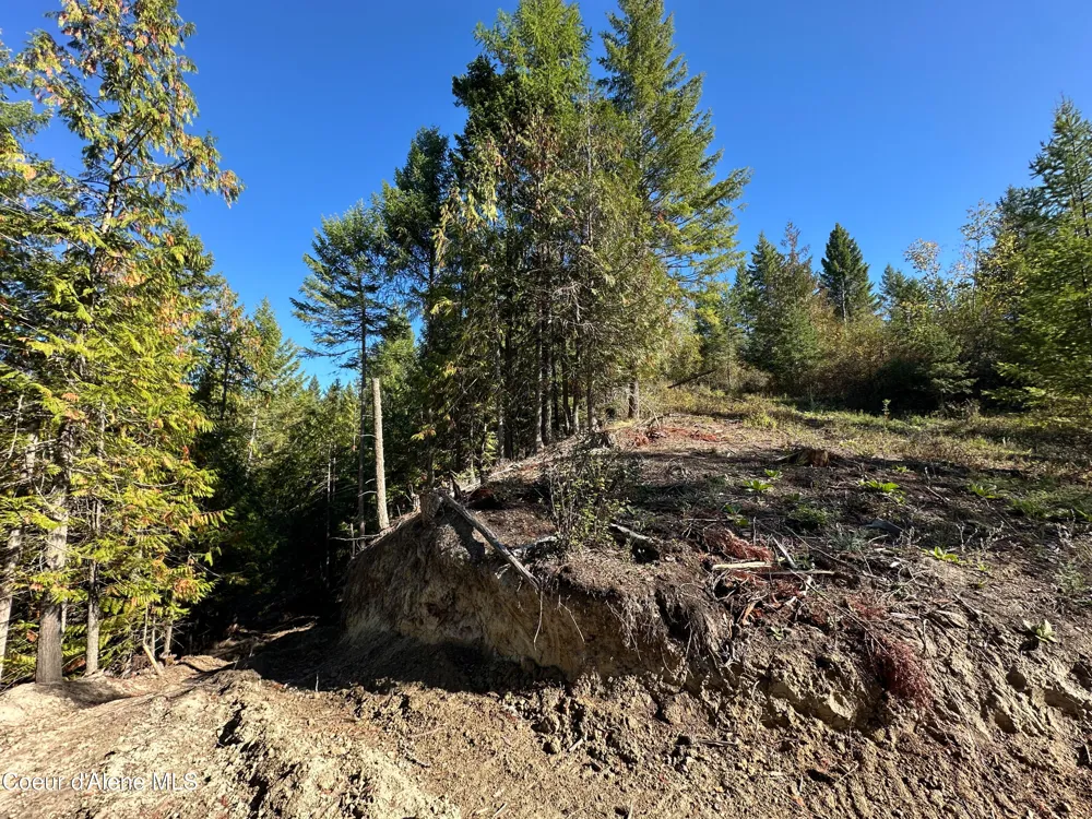 NNA Turner Hill Rd Lot 1 (3900A) Bonners Ferry, ID 83805