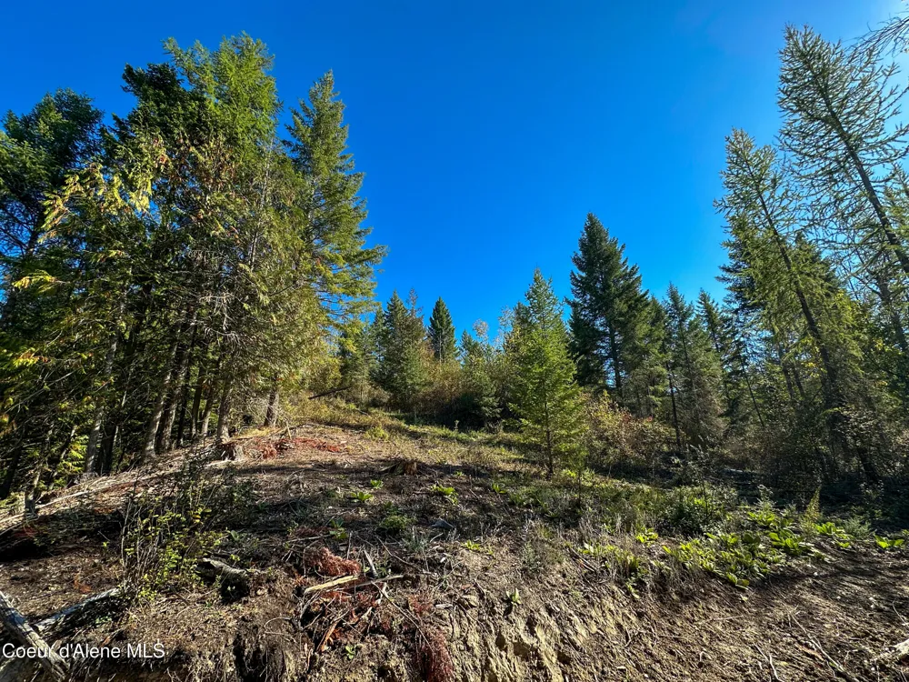 NNA Turner Hill Rd Lot 1 (3900A) Bonners Ferry, ID 83805