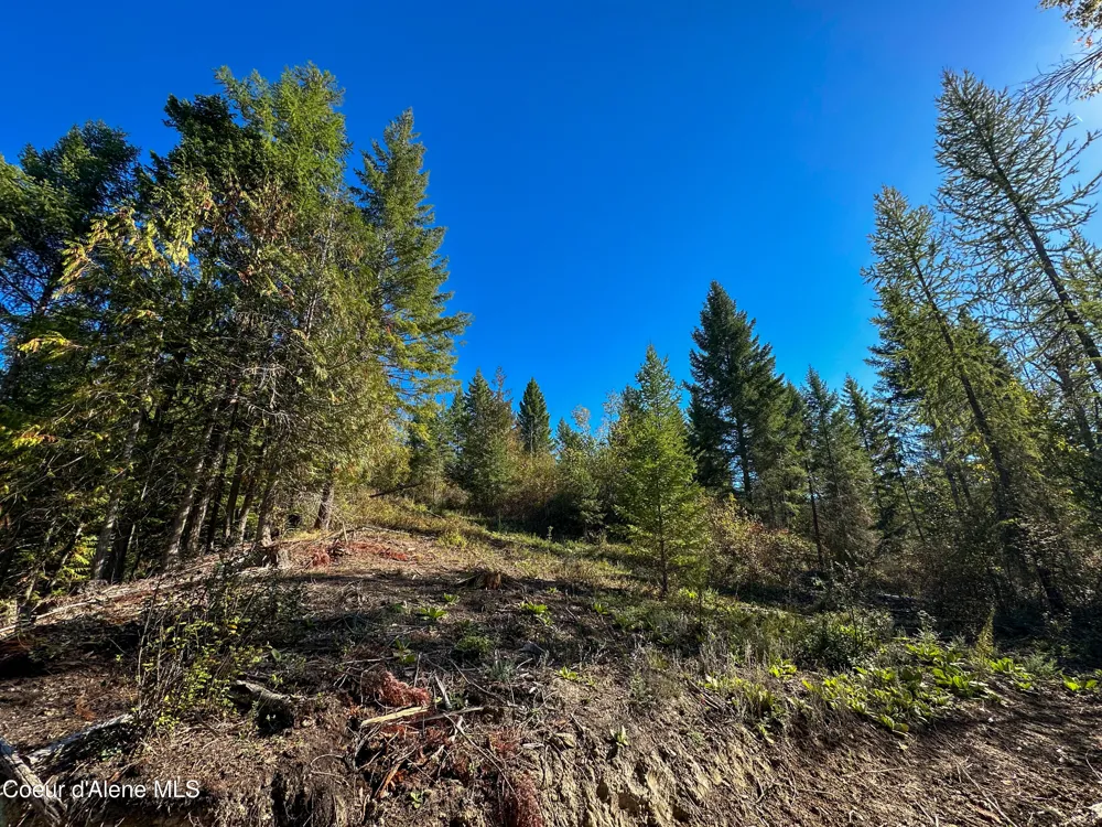 NNA Turner Hill Rd Lot 1 (3900A) Bonners Ferry, ID 83805