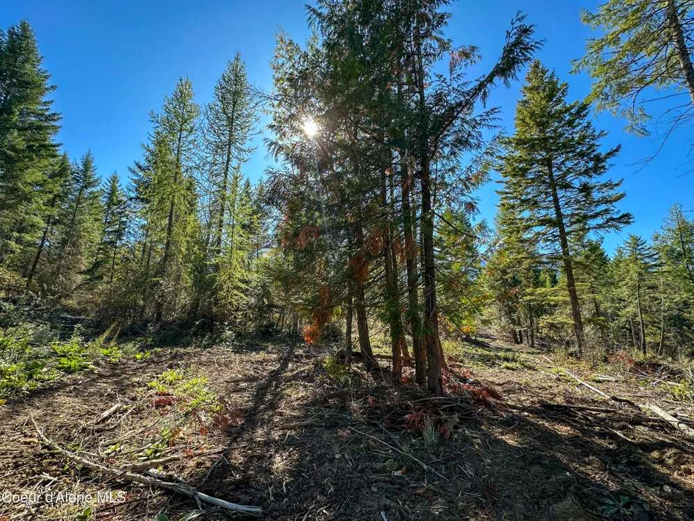 NNA Turner Hill Rd Lot 1 (3900A) Bonners Ferry, ID 83805