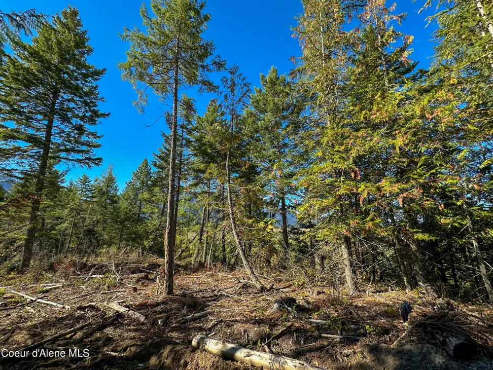 NNA Turner Hill Rd Lot 1 (3900A) Bonners Ferry, ID 83805