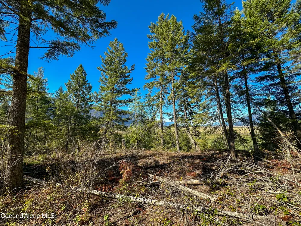 NNA Turner Hill Rd Lot 1 (3900A) Bonners Ferry, ID 83805