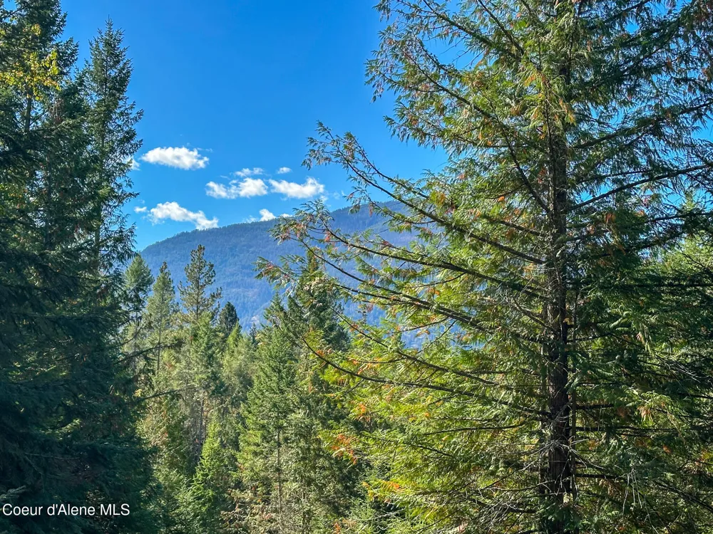 NNA Turner Hill Rd Lot 1 (3900A) Bonners Ferry, ID 83805