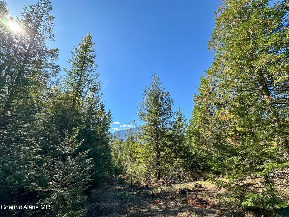 NNA Turner Hill Rd Lot 1 (3900A) Bonners Ferry, ID 83805