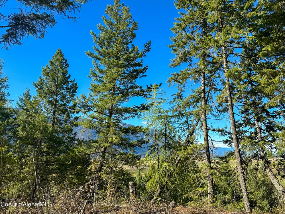 NNA Turner Hill Rd Lot 1 (3900A) Bonners Ferry, ID 83805