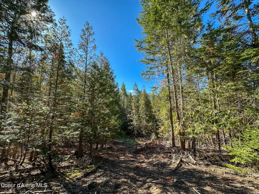NNA Turner Hill Rd Lot 1 (3900A) Bonners Ferry, ID 83805