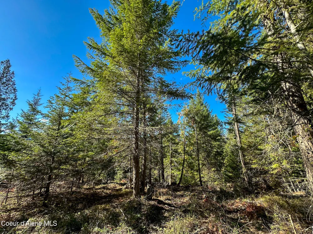 NNA Turner Hill Rd Lot 1 (3900A) Bonners Ferry, ID 83805
