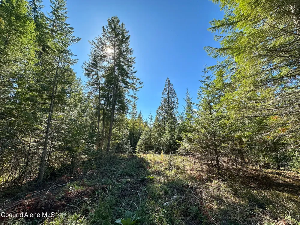 NNA Turner Hill Rd Lot 1 (3900A) Bonners Ferry, ID 83805