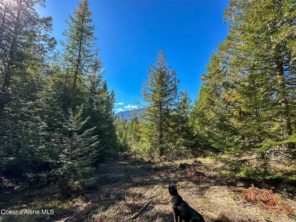 NNA Turner Hill Rd Lot 1 (3900A) Bonners Ferry, ID 83805