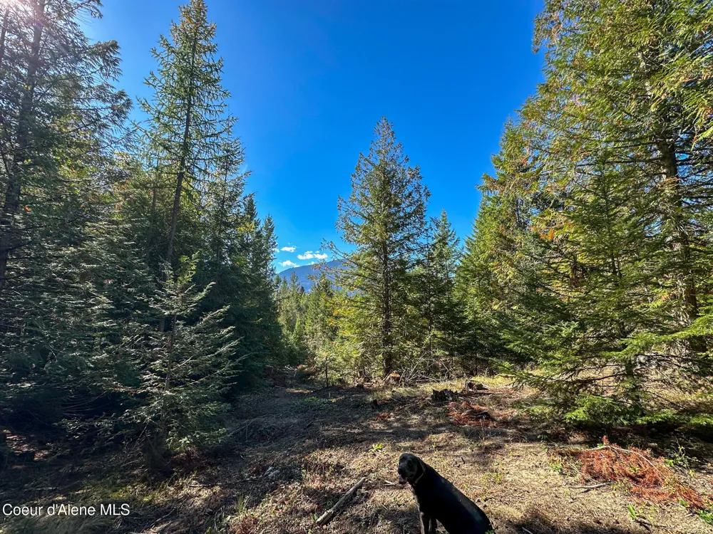 NNA Turner Hill Rd Lot 1 (3900A) Bonners Ferry, ID 83805