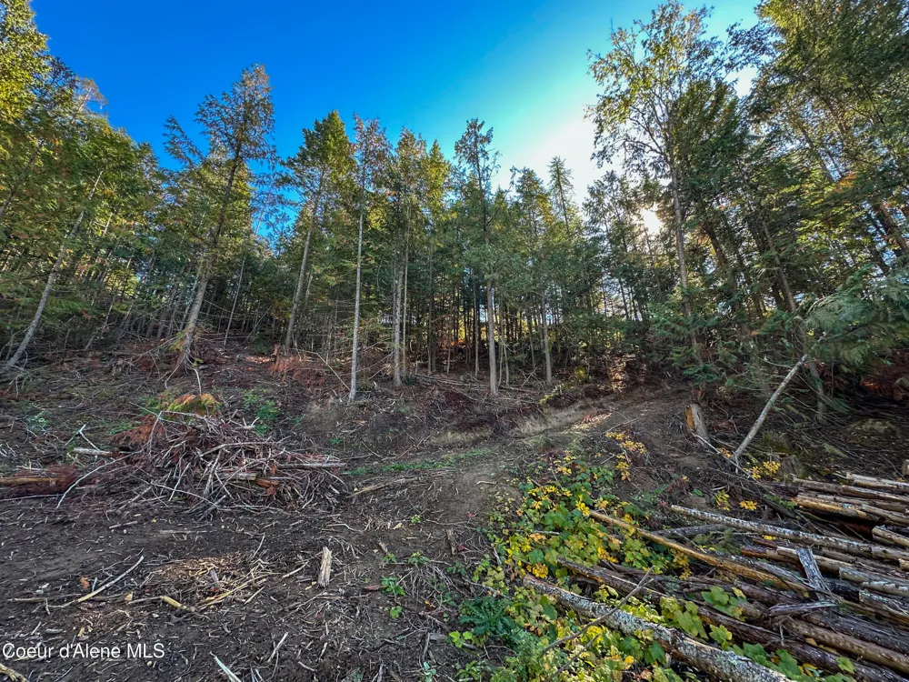 NNA Turner Hill Rd Lot 1 (3900A) Bonners Ferry, ID 83805