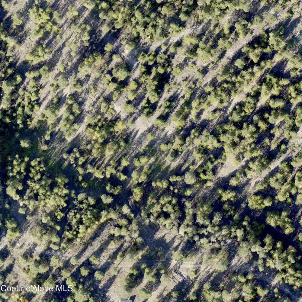NNA Turner Hill Rd Lot 1 (3900A) Bonners Ferry, ID 83805