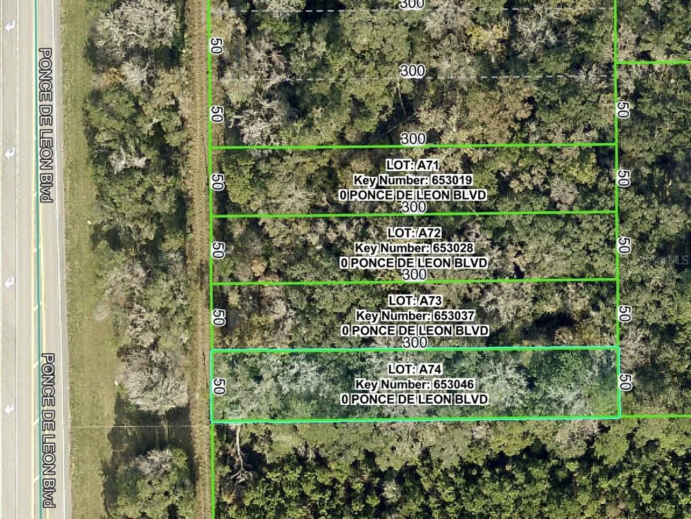 PONCE DE LEON BOULEVARD Brooksville, FL 34601