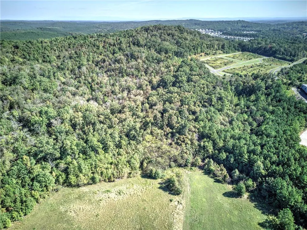 0 Soho Drive Adairsville, GA 30103