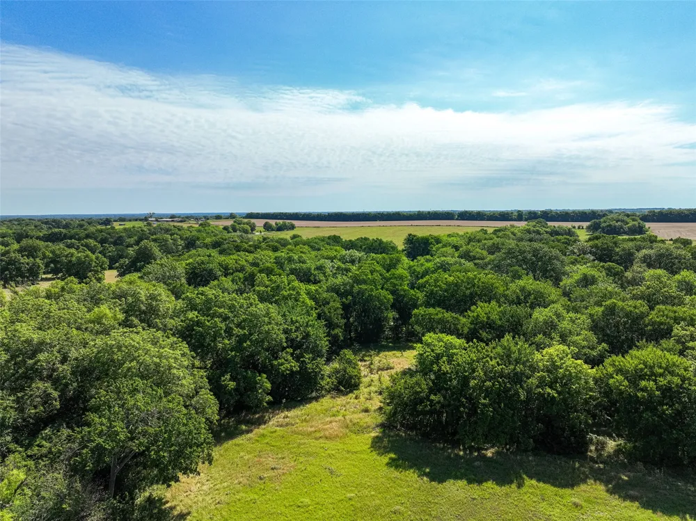 County Road 4055 Whitewright, TX 75491