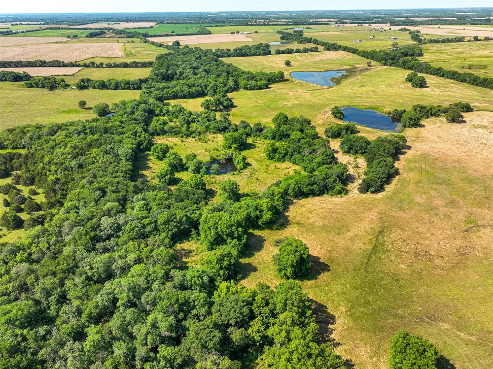 County Road 4055 Whitewright, TX 75491