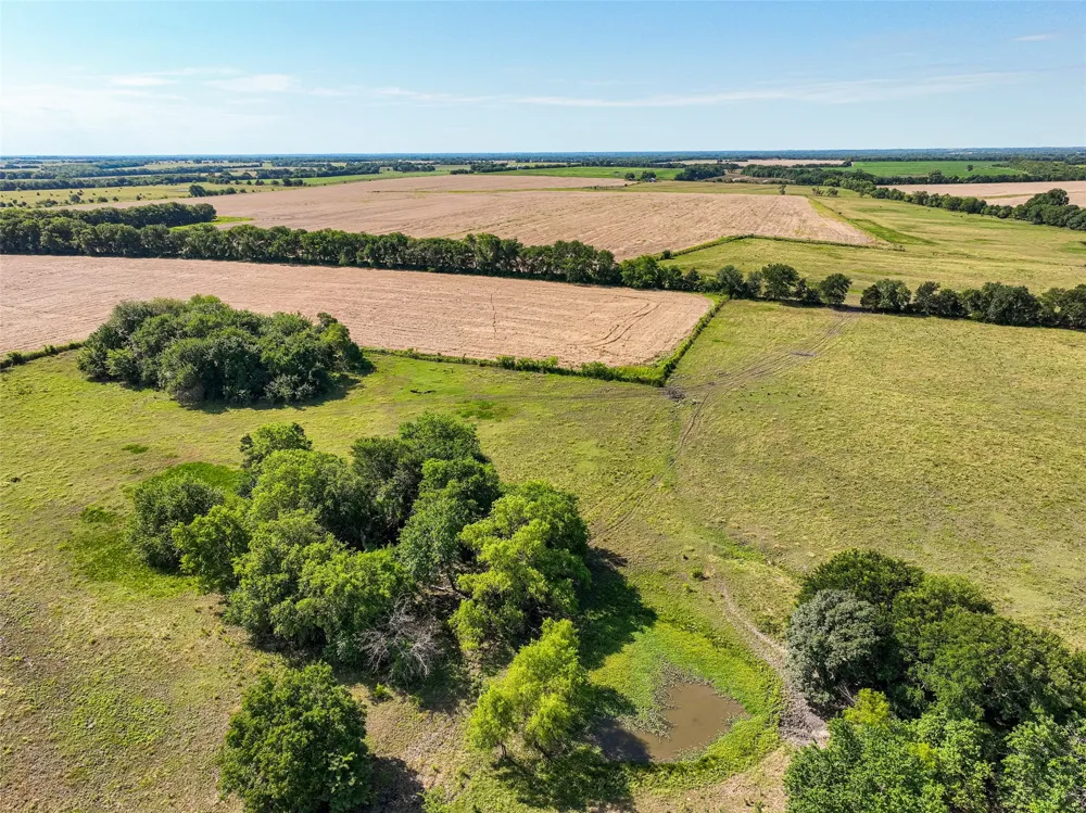 County Road 4055 Whitewright, TX 75491
