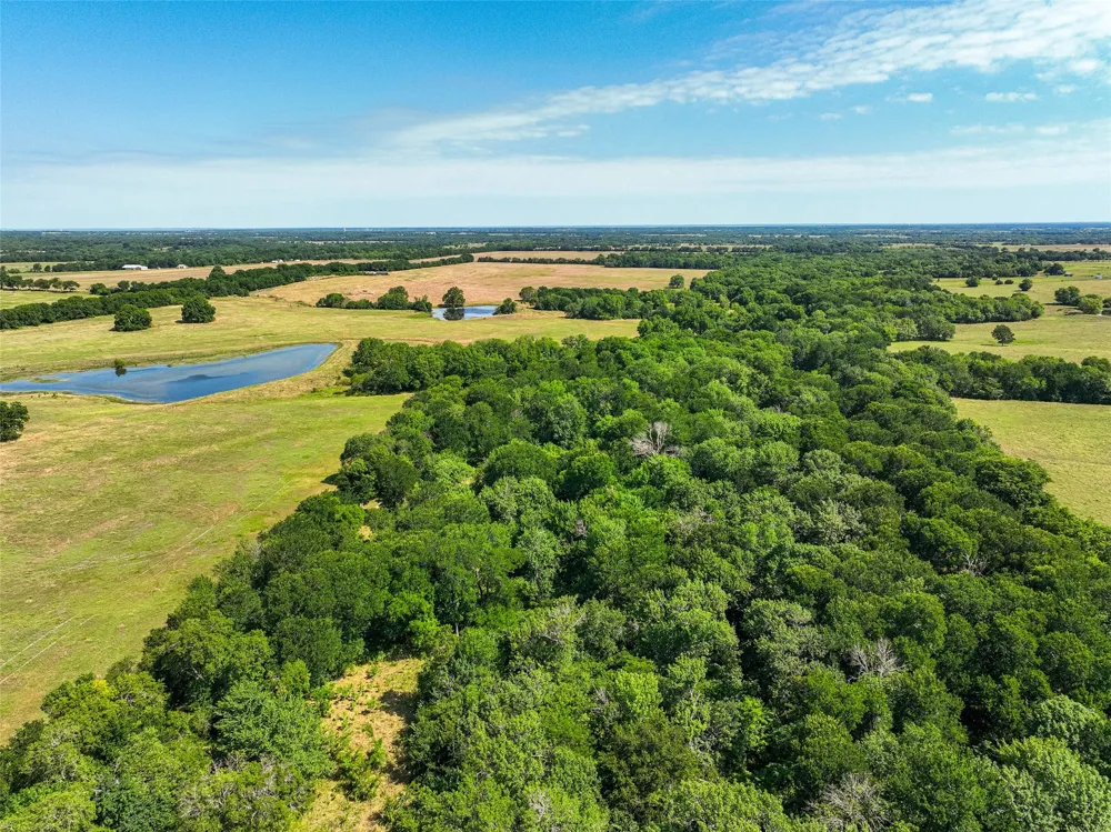 County Road 4055 Whitewright, TX 75491