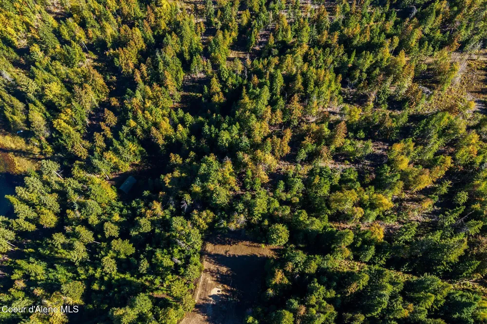 117 Muskrat Place Sagle, ID 83860