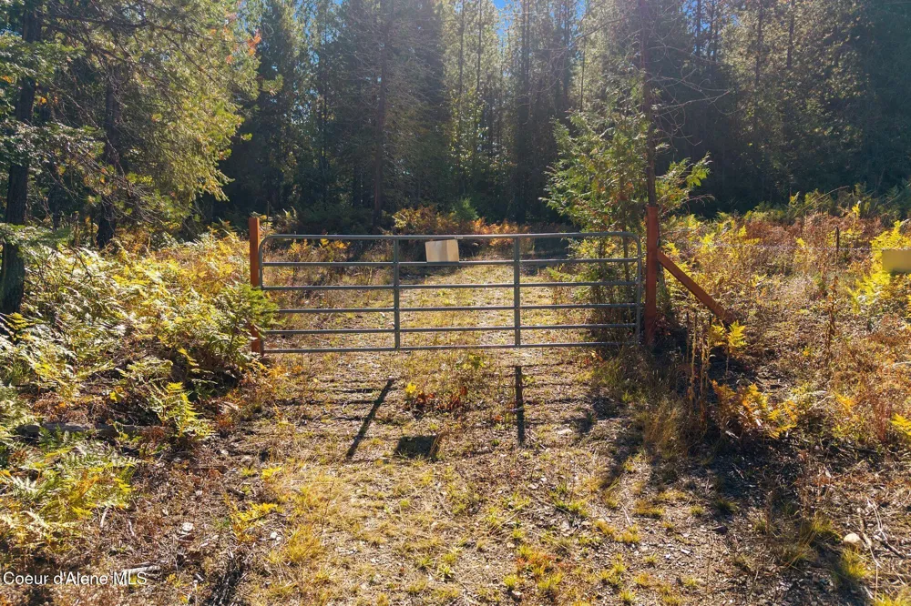 117 Muskrat Place Sagle, ID 83860