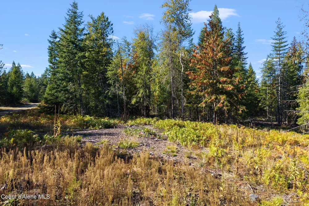 117 Muskrat Place Sagle, ID 83860
