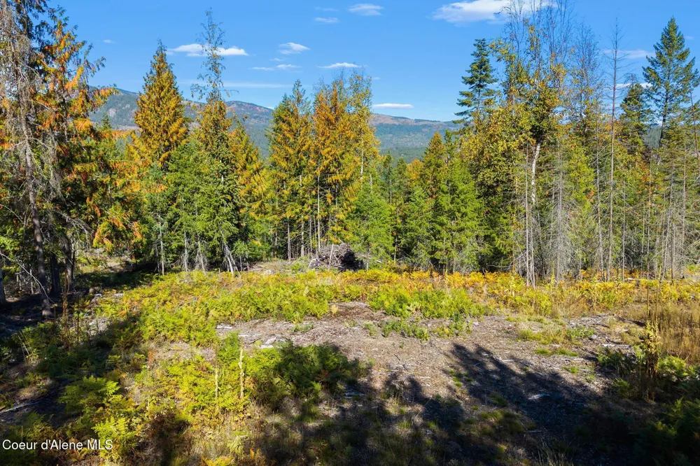 117 Muskrat Place Sagle, ID 83860