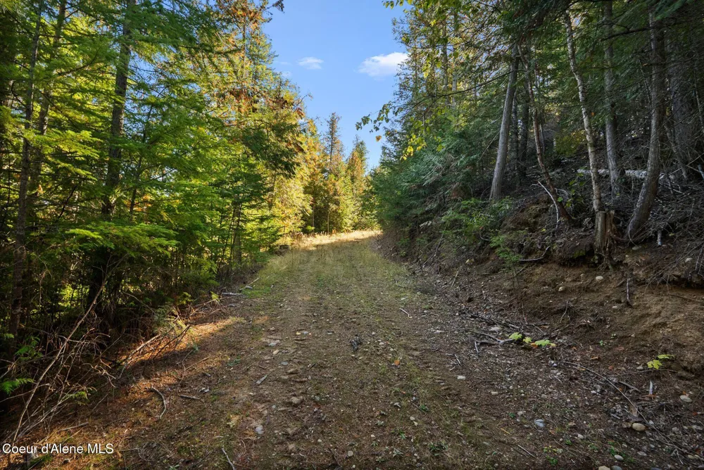 117 Muskrat Place Sagle, ID 83860
