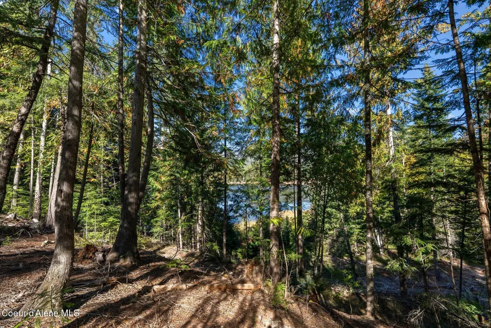 117 Muskrat Place Sagle, ID 83860