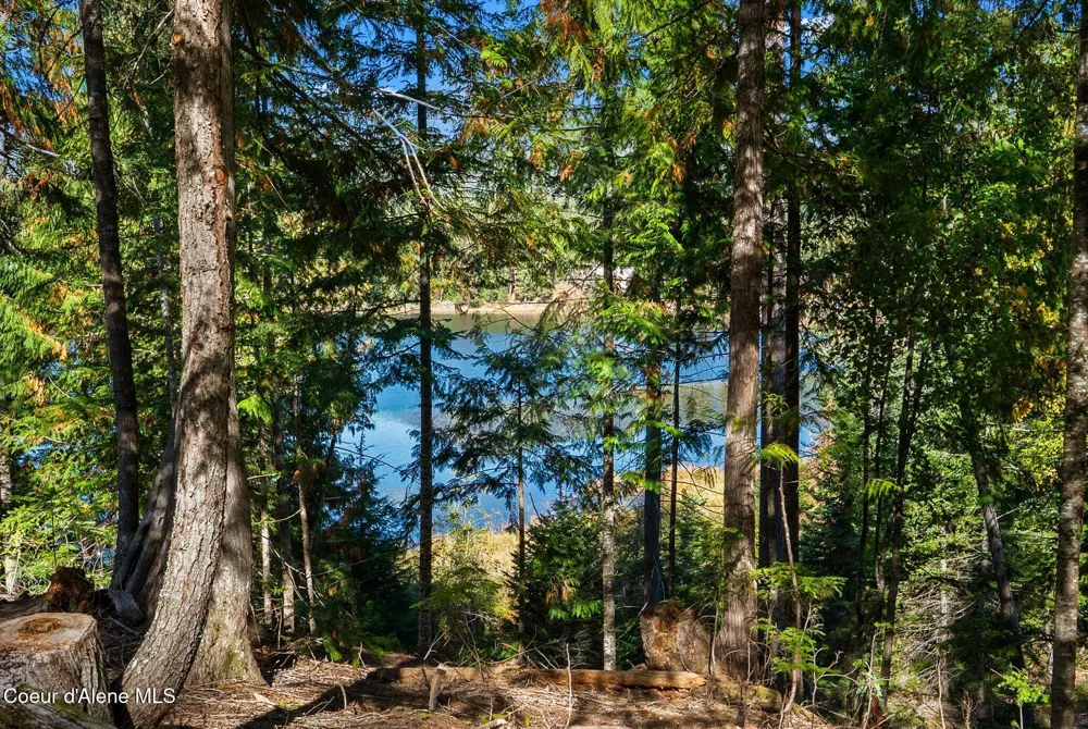 117 Muskrat Place Sagle, ID 83860