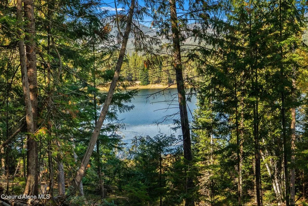 117 Muskrat Place Sagle, ID 83860