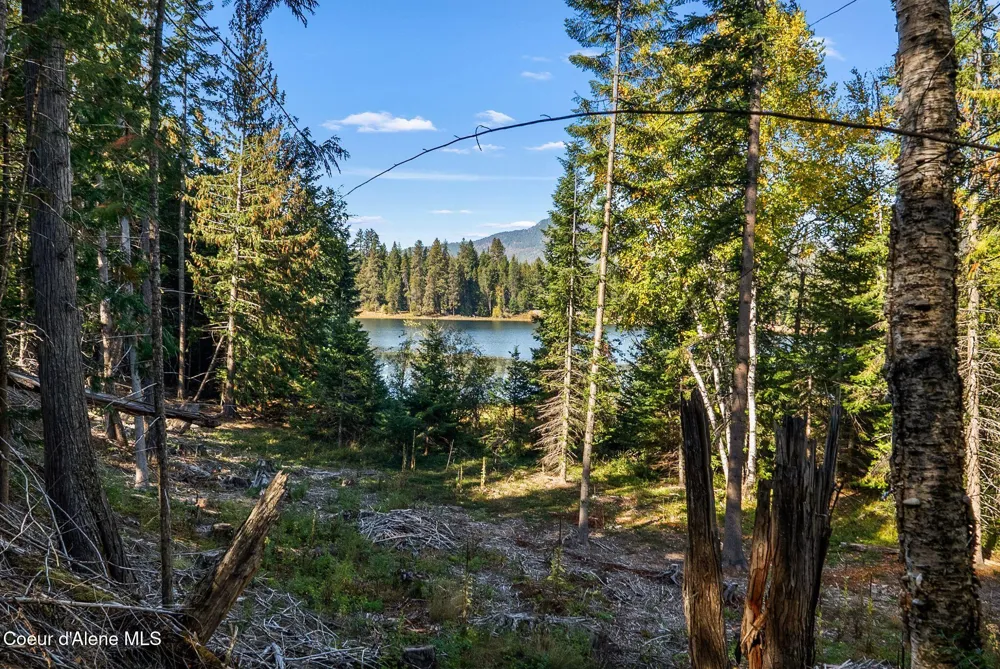 117 Muskrat Place Sagle, ID 83860
