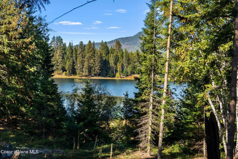 117 Muskrat Place Sagle, ID 83860
