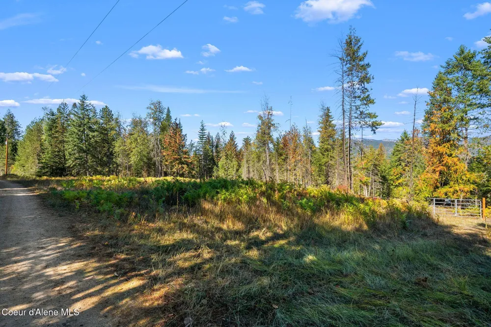 117 Muskrat Place Sagle, ID 83860