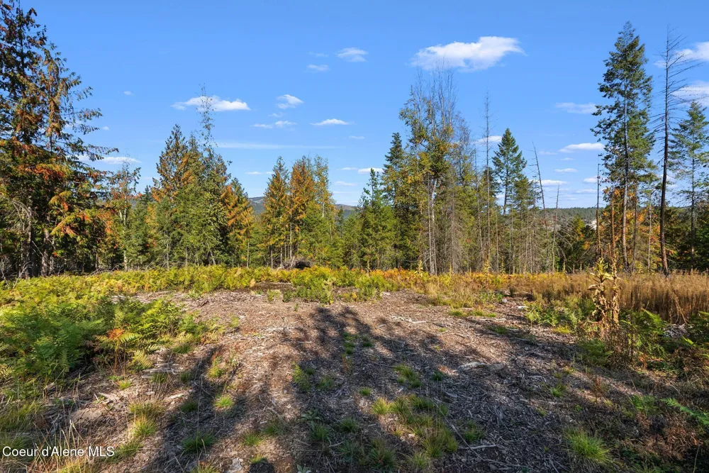 117 Muskrat Place Sagle, ID 83860