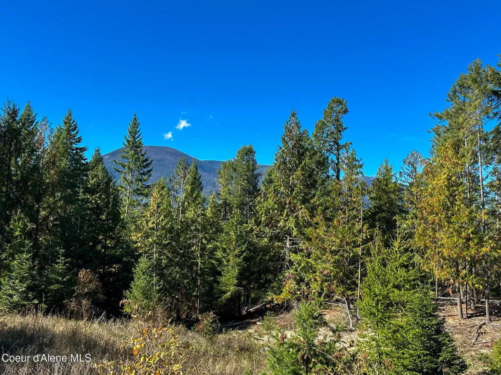 NNA Turner Hill Rd Lot 2 (4050A) Bonners Ferry, ID 83805