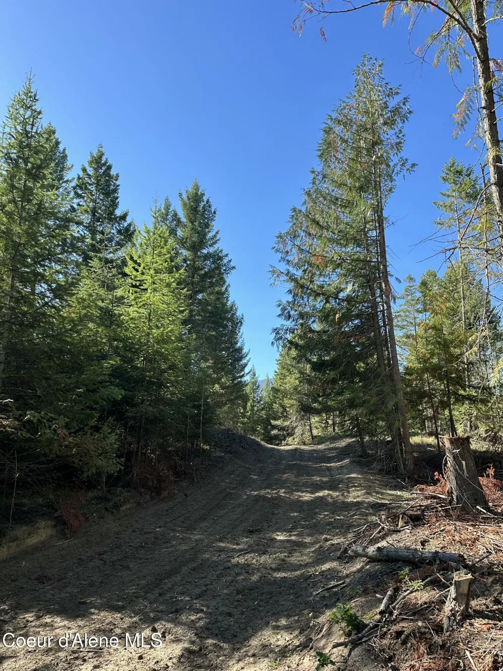 NNA Turner Hill Rd Lot 2 (4050A) Bonners Ferry, ID 83805