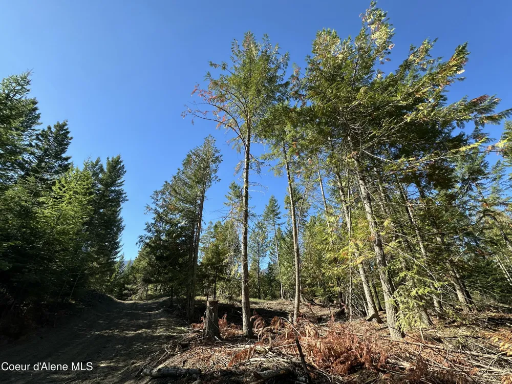 NNA Turner Hill Rd Lot 2 (4050A) Bonners Ferry, ID 83805