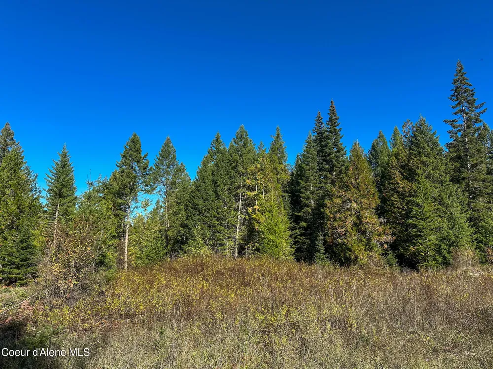 NNA Turner Hill Rd Lot 2 (4050A) Bonners Ferry, ID 83805