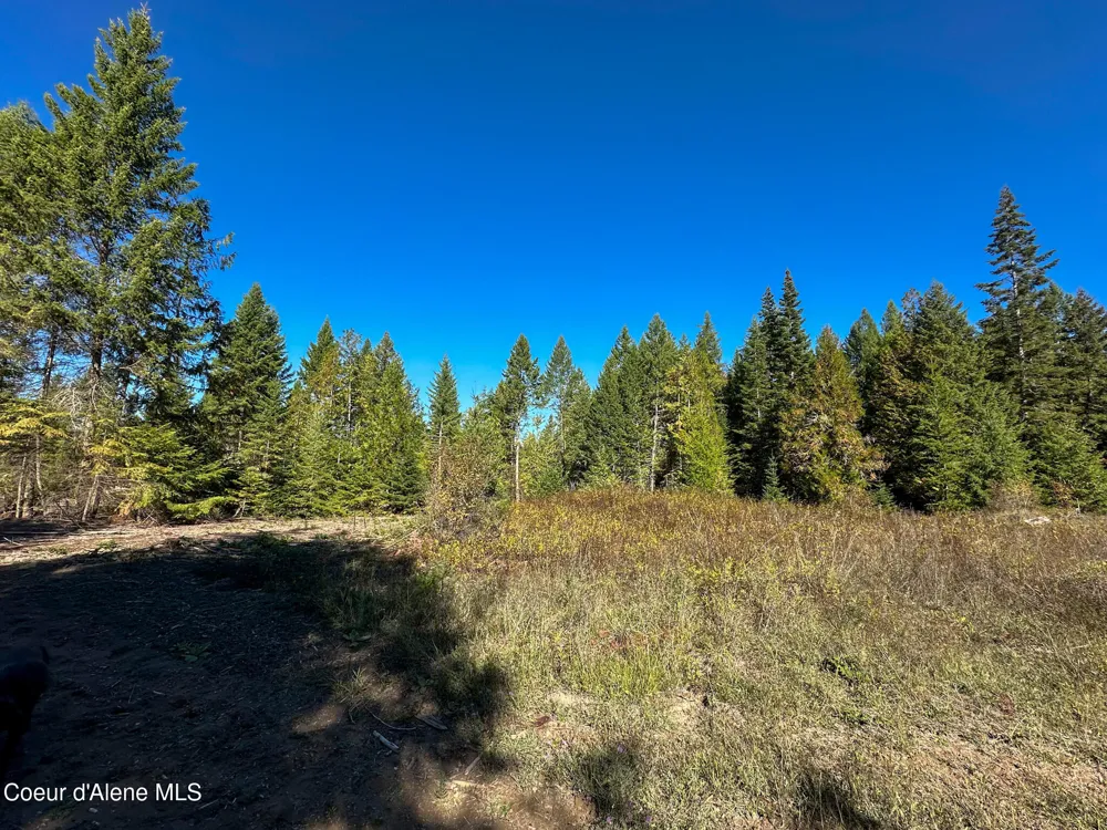NNA Turner Hill Rd Lot 2 (4050A) Bonners Ferry, ID 83805