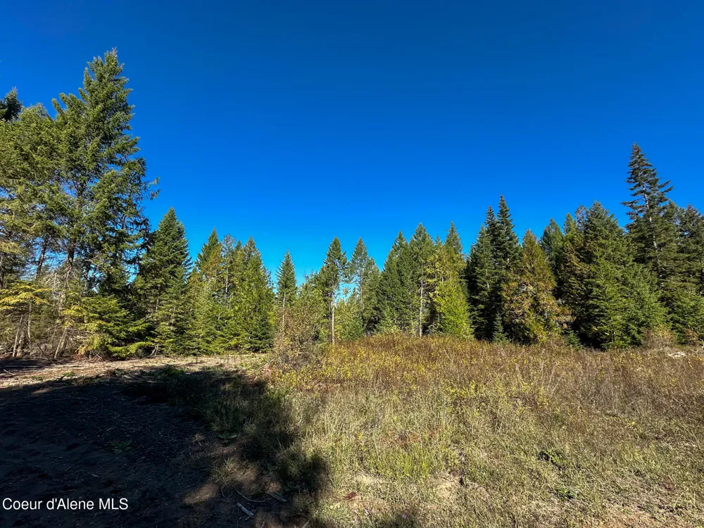 NNA Turner Hill Rd Lot 2 (4050A) Bonners Ferry, ID 83805