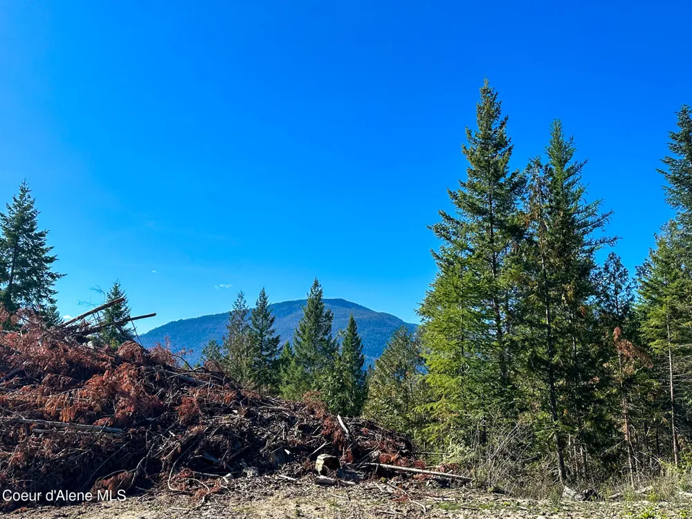 NNA Turner Hill Rd Lot 2 (4050A) Bonners Ferry, ID 83805