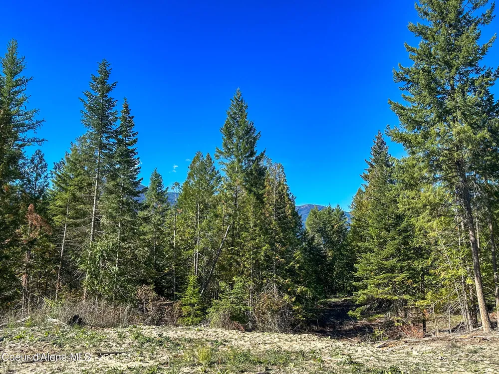 NNA Turner Hill Rd Lot 2 (4050A) Bonners Ferry, ID 83805