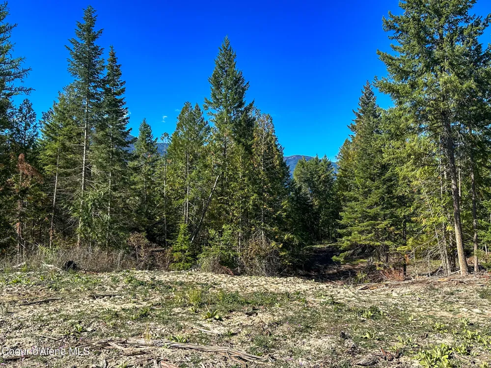 NNA Turner Hill Rd Lot 2 (4050A) Bonners Ferry, ID 83805