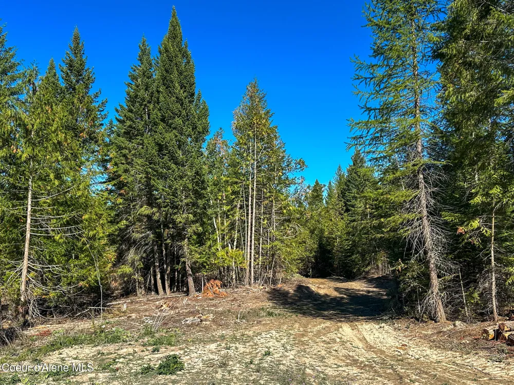 NNA Turner Hill Rd Lot 2 (4050A) Bonners Ferry, ID 83805