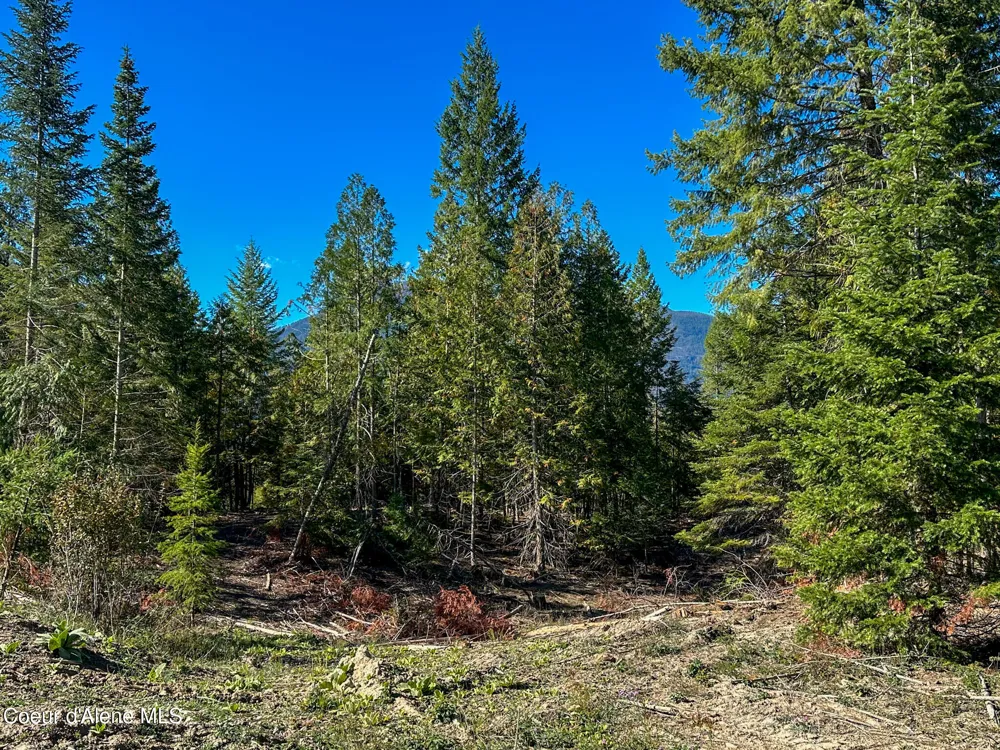 NNA Turner Hill Rd Lot 2 (4050A) Bonners Ferry, ID 83805