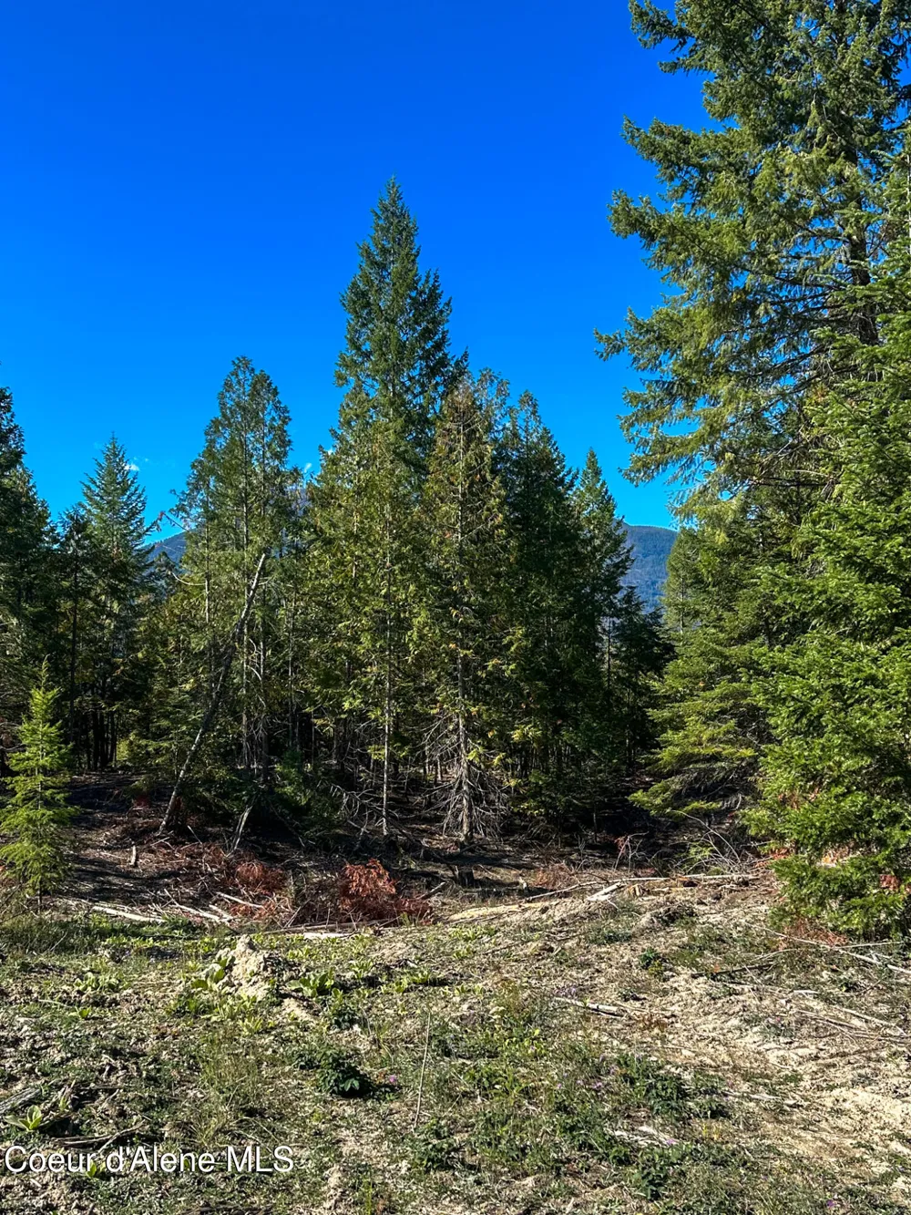 NNA Turner Hill Rd Lot 2 (4050A) Bonners Ferry, ID 83805