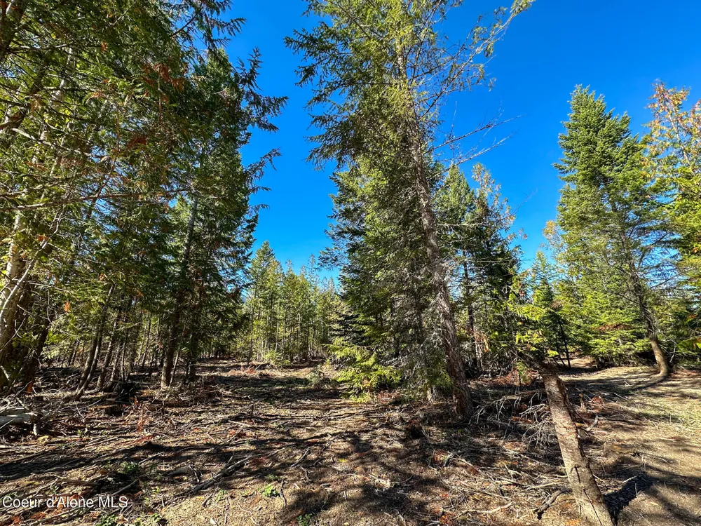 NNA Turner Hill Rd Lot 2 (4050A) Bonners Ferry, ID 83805