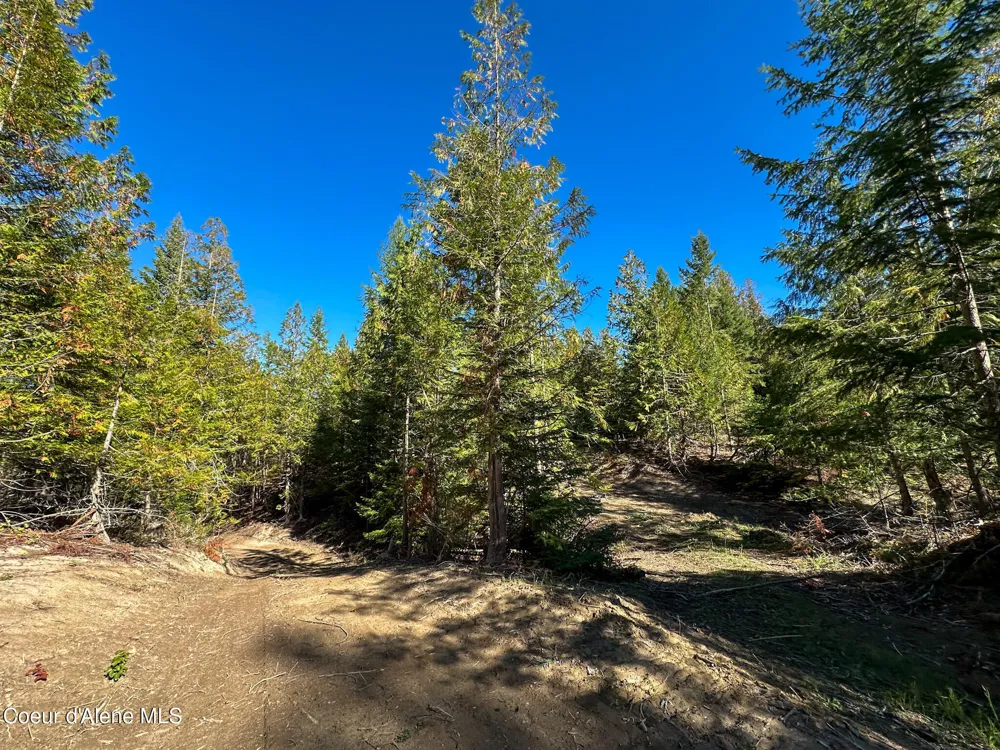NNA Turner Hill Rd Lot 2 (4050A) Bonners Ferry, ID 83805